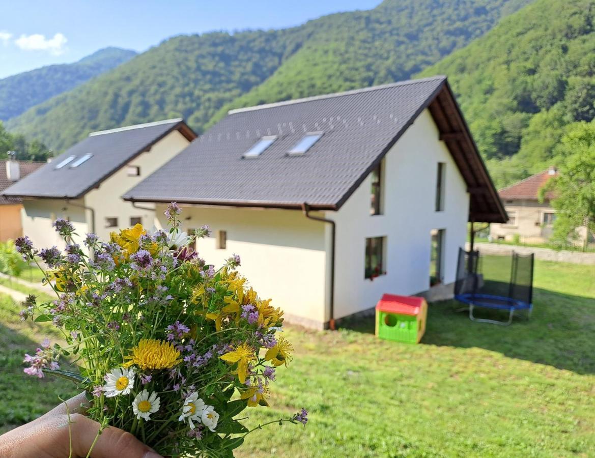 Тиловите Къщи Ribarița Exterior foto