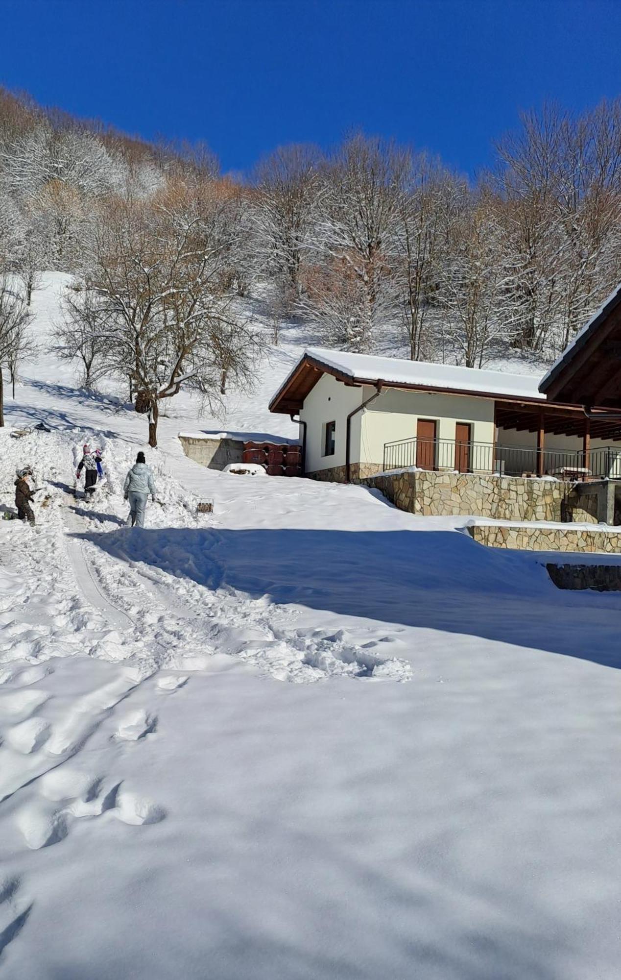 Тиловите Къщи Ribarița Exterior foto